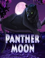 แทงบอลไม่มีขั้นต่ำเว็บสล็อตโรม่า joker123 สุดมันส์!